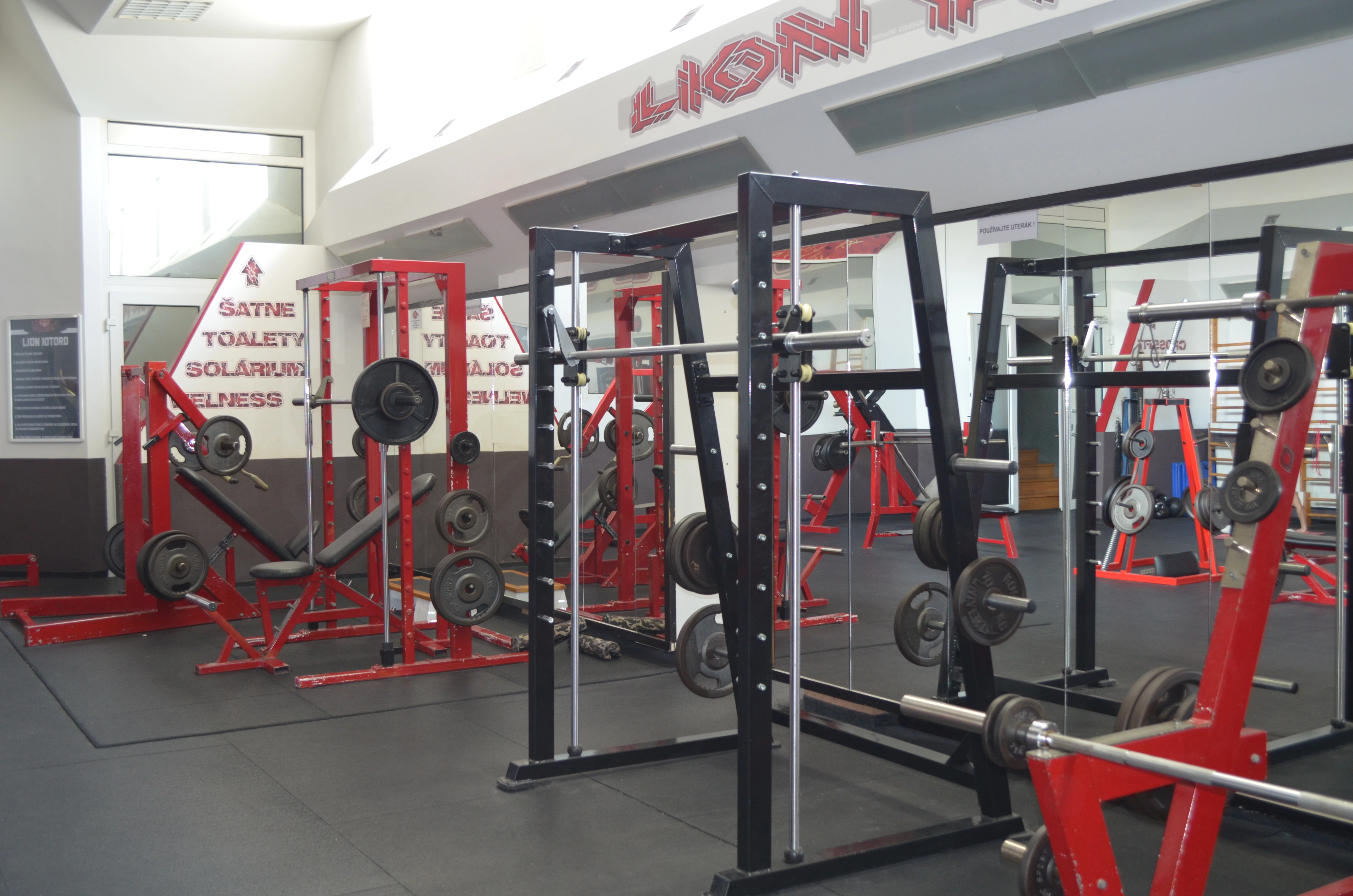 Priestory fitka Lion